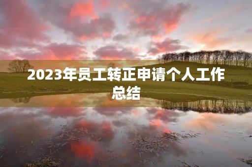 2023年员工转正申请个人工作总结