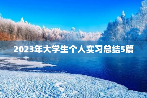 2023年大学生个人实习总结5篇