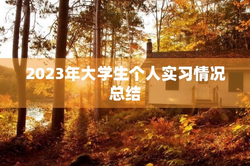 2023年大学生个人实习情况总结