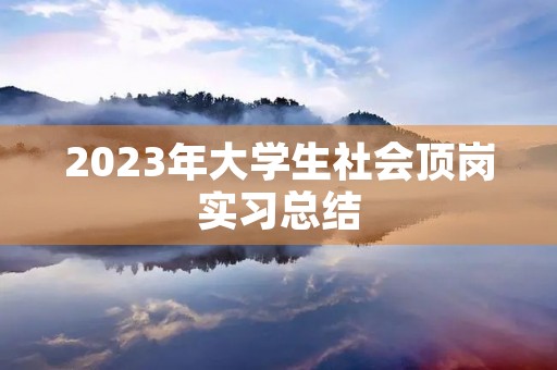 2023年大学生社会顶岗实习总结
