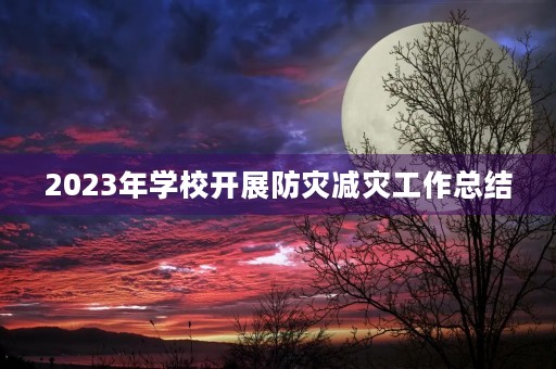 2023年学校开展防灾减灾工作总结