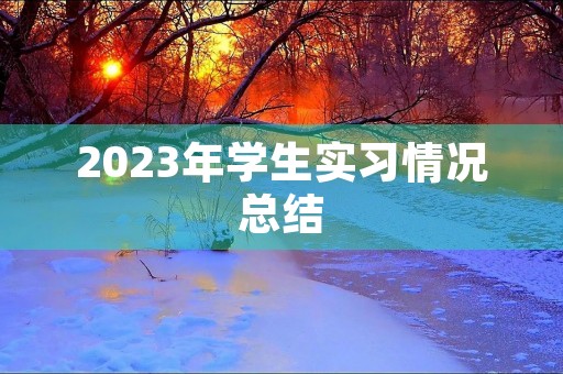 2023年学生实习情况总结