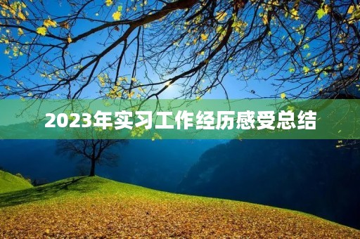 2023年实习工作经历感受总结