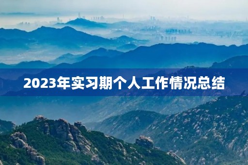 2023年实习期个人工作情况总结 2023年实习期个人工作情况总结