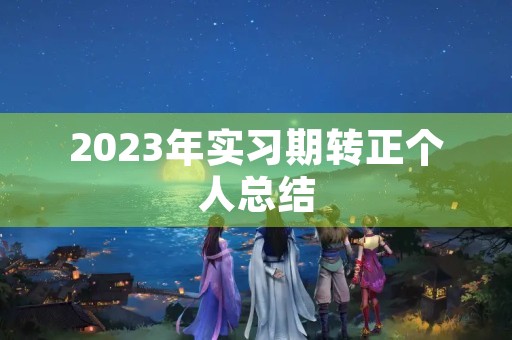 2023年实习期转正个人总结