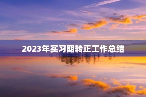 2023年实习期转正工作总结