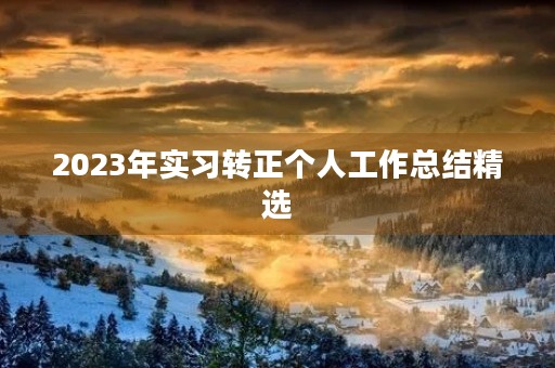 2023年实习转正个人工作总结精选