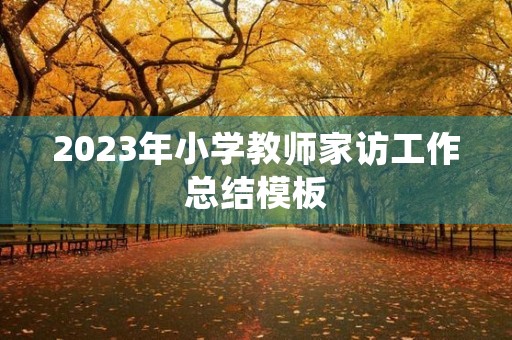 2023年小学教师家访工作总结模板(10篇)