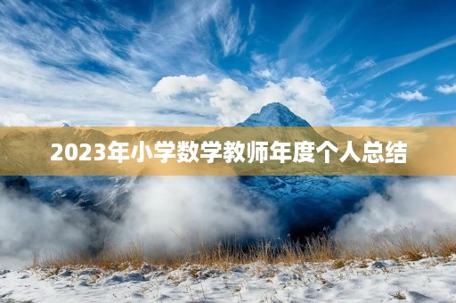2023年小学数学教师年度个人总结