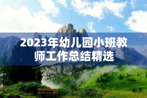 2023年幼儿园小班教师工作总结精选
