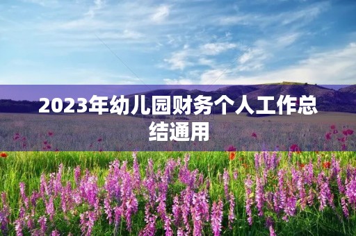 2023年幼儿园财务个人工作总结通用