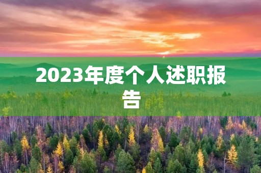 2023年度个人述职报告(7篇)