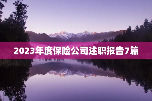 2023年度保险公司述职报告7篇