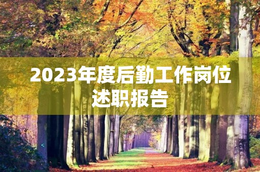 2023年度后勤工作岗位述职报告