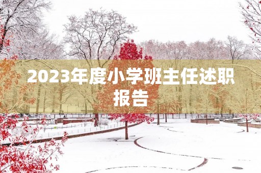 2023年度小学班主任述职报告