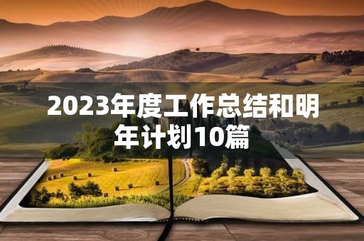 2023年度工作总结和明年计划10篇