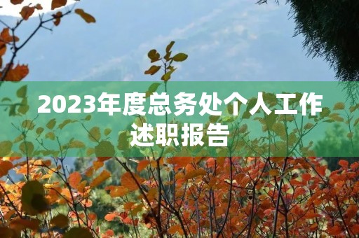 2023年度总务处个人工作述职报告
