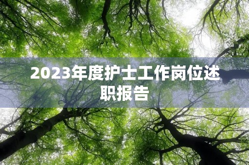 2023年度护士工作岗位述职报告