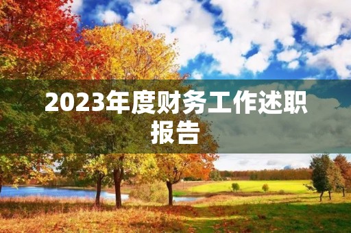 2023年度财务工作述职报告(7篇)
