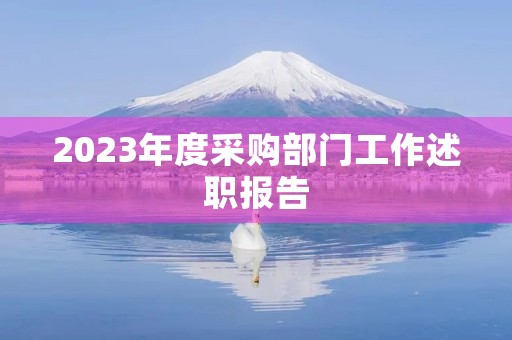 2023年度采购部门工作述职报告