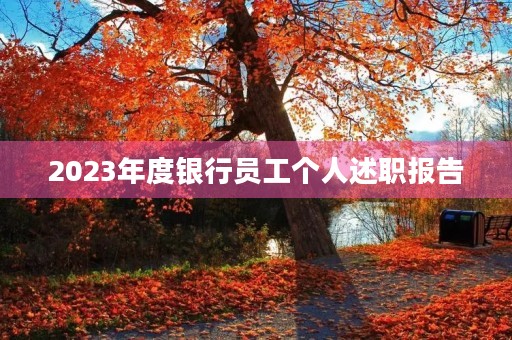 2023年度银行员工个人述职报告