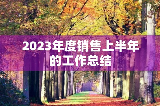 2023年度销售上半年的工作总结