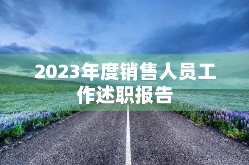2023年度销售人员工作述职报告