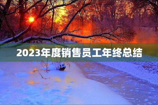 2023年度销售员工年终总结