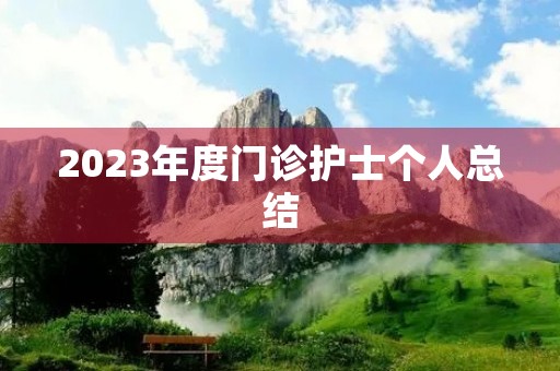 2023年度门诊护士个人总结