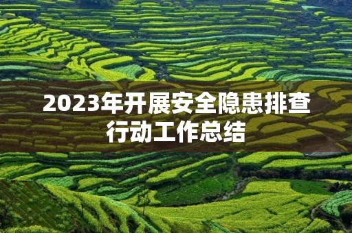 2023年开展安全隐患排查行动工作总结