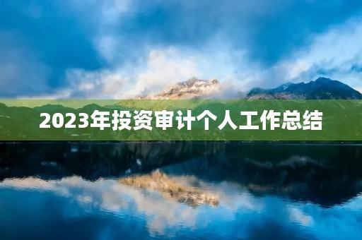 2023年投资审计个人工作总结