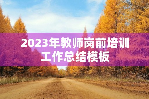 2023年教师岗前培训工作总结模板