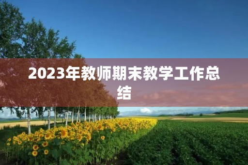 2023年教师期末教学工作总结