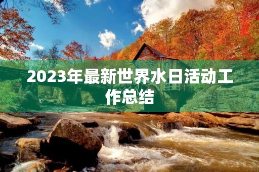 2023年最新世界水日活动工作总结