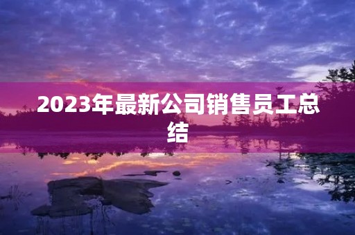 2023年最新公司销售员工总结