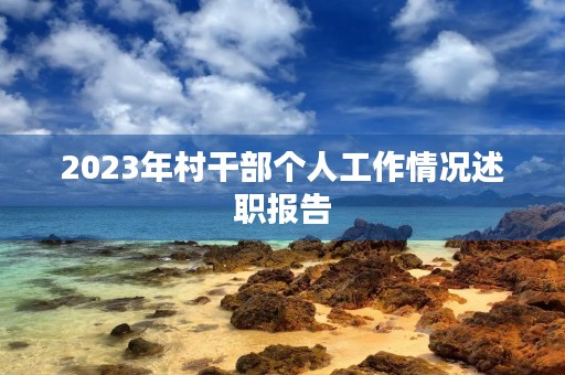 2023年村干部个人工作情况述职报告