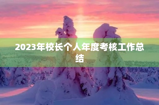 2023年校长个人年度考核工作总结