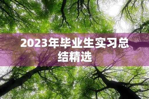 2023年毕业生实习总结精选【10篇】