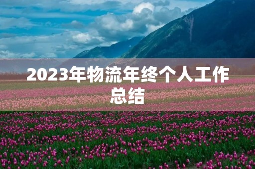 2023年物流年终个人工作总结
