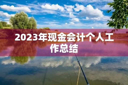 2023年现金会计个人工作总结