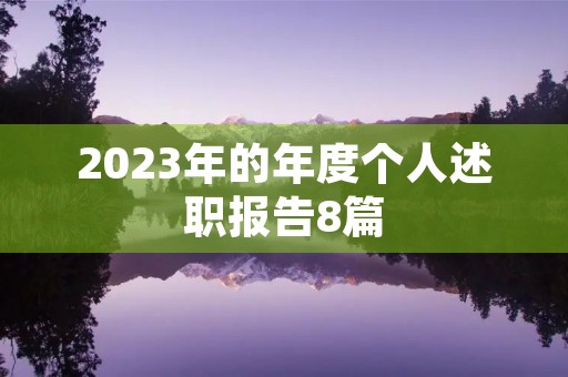 2023年的年度个人述职报告8篇