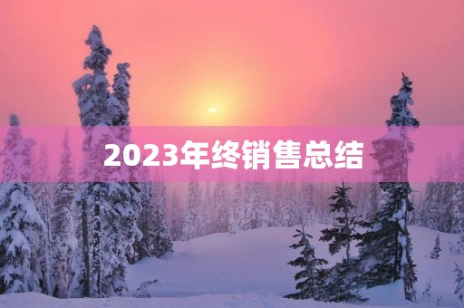 2023年终销售总结