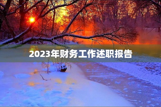 2023年财务工作述职报告