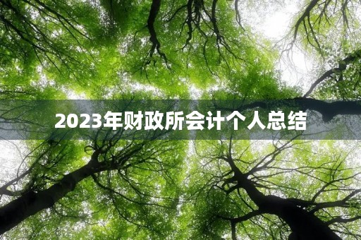 2023年财政所会计个人总结