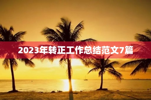 2023年转正工作总结范文7篇