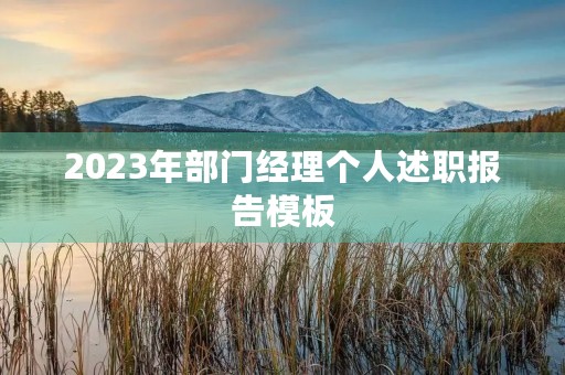 2023年部门经理个人述职报告模板（10篇）