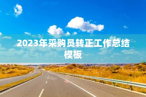 2023年采购员转正工作总结模板