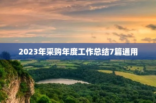 2023年采购年度工作总结7篇通用