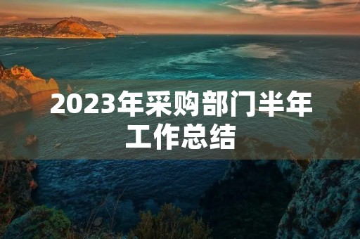 2023年采购部门半年工作总结