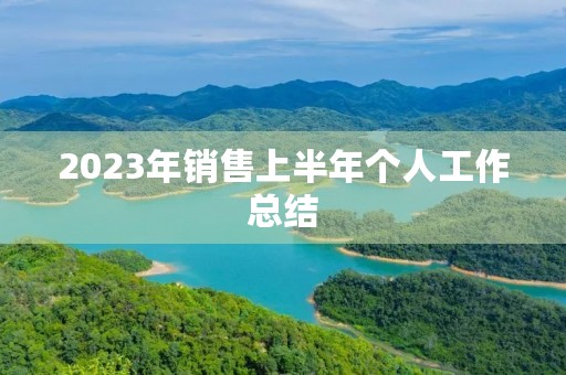 2023年销售上半年个人工作总结